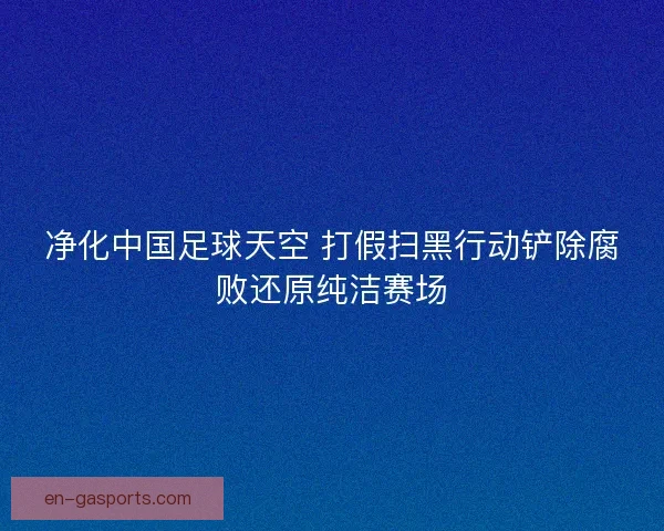 净化中国足球天空 打假扫黑行动铲除腐败还原纯洁赛场